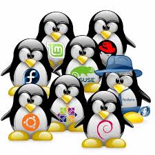 What to do after installing Ubuntu 15.04